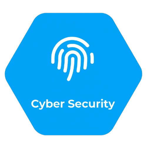 Cyber Security Hover